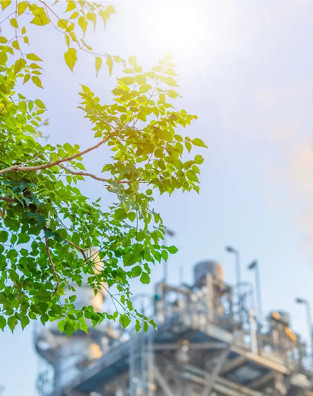 Environmental Compliance for Business
